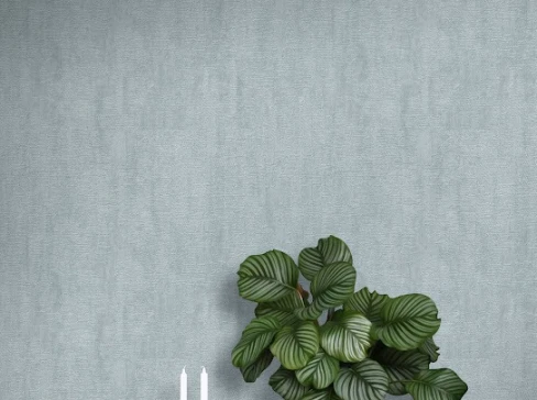 Giấy dán tường Hàn Quốc mẫu 11