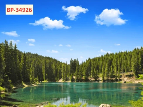 Tranh 3D phong cảnh mẫu 3